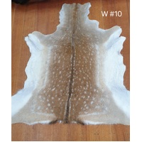 Fallow Deer Skin - 10