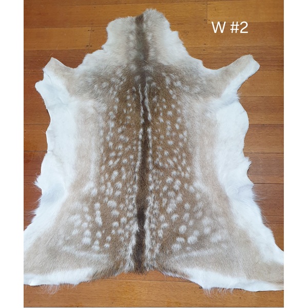 Fallow Deer Skin - 2