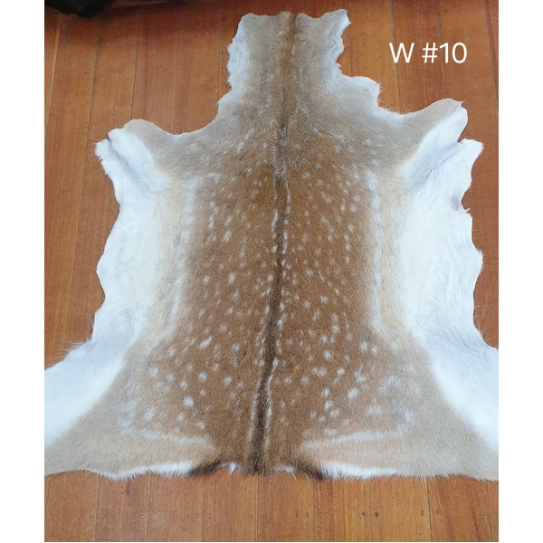 Fallow Deer Skin - 10